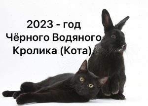 2023 - год Чёрного Водяного Кролика (Кота).